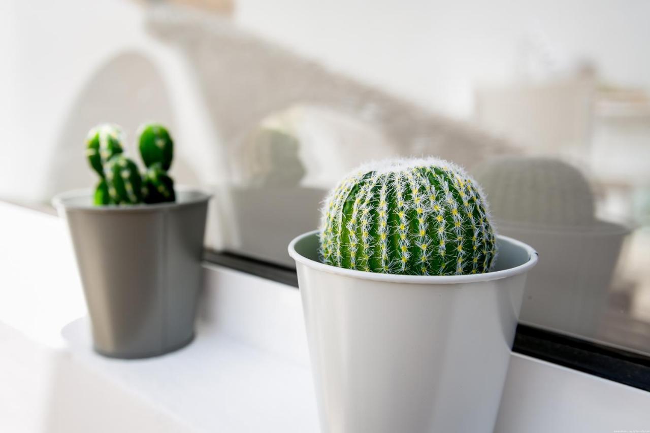 Cactus Apartment Сан-Мігель-де-Абона Екстер'єр фото
