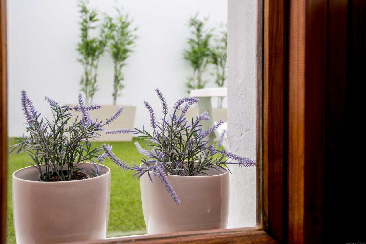 Cactus Apartment Сан-Мігель-де-Абона Екстер'єр фото